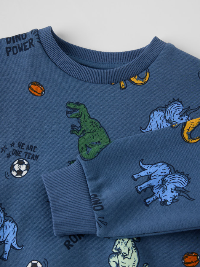 Sweatshirt dinosaurier Sweatshirt dinosaurier