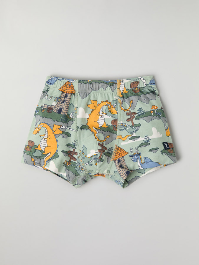 Boxershorts drakar